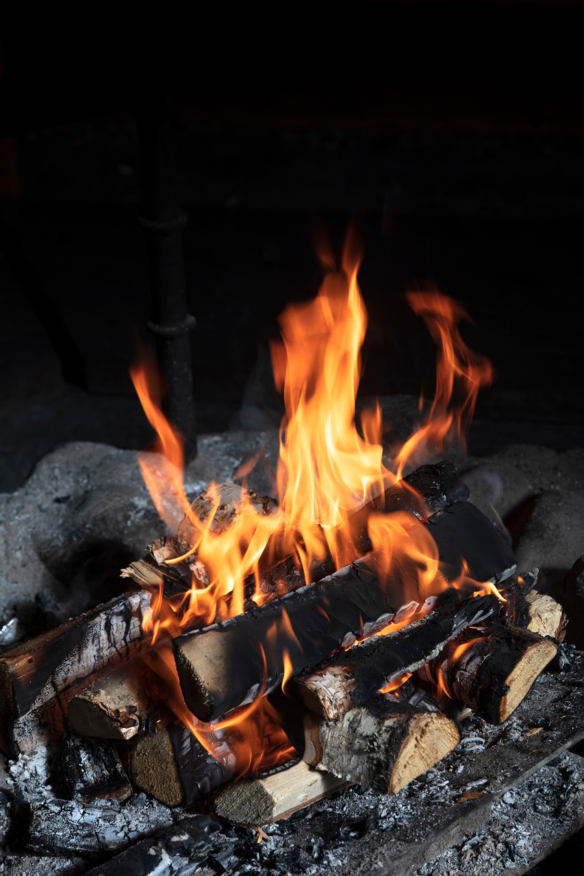 flame, fire, embers, burn, campfire, firewood, wood, nature